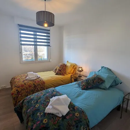 דירה Confortable A Epinal, 2 Chambres, Wifi, Parking, Petit Chien Accepte - Fr-1-589-766